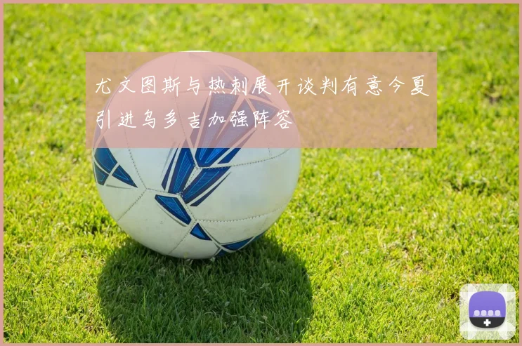 尤文图斯与热刺展开谈判有意今夏引进乌多吉加强阵容